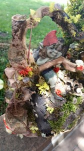 pixie garden3